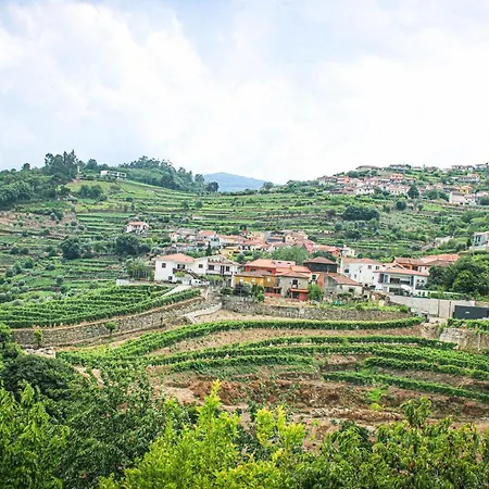 Casa Avos D'ouro - Barqueiros, Mesao Frio, Douro Дом отдыха Мезан-Фриу