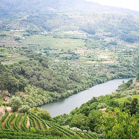 Casa Avos D'ouro - Barqueiros, Mesao Frio, Douro * Mesao Frio