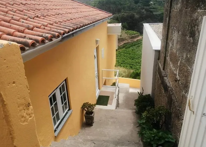 Casa Avos D'ouro - Barqueiros, Mesao Frio, Douro * Mesão Frio