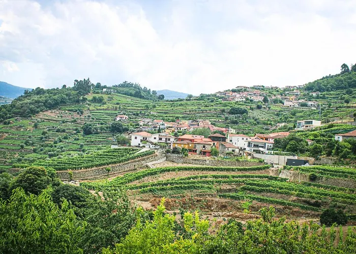 Casa Avos D'ouro - Barqueiros, Mesao Frio, Douro Hébergement de vacances Mesão Frio