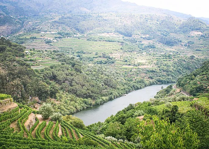 Casa Avos D'ouro - Barqueiros, Mesao Frio, Douro * Mesão Frio